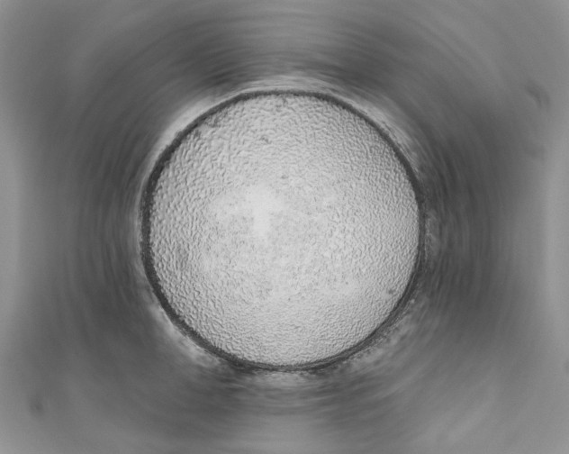 X0000110980998200907171728