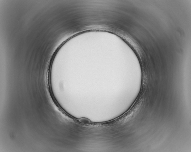 X0000110980999200907171728