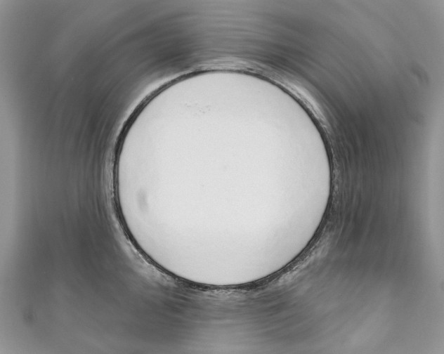 X0000110981000200907171728