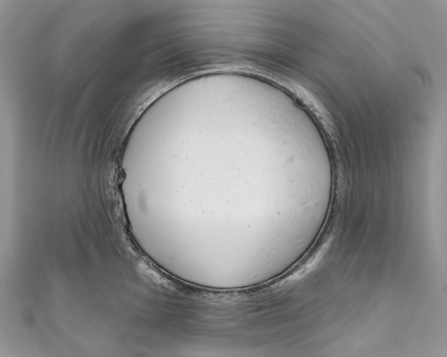 X0000110981001200907171728