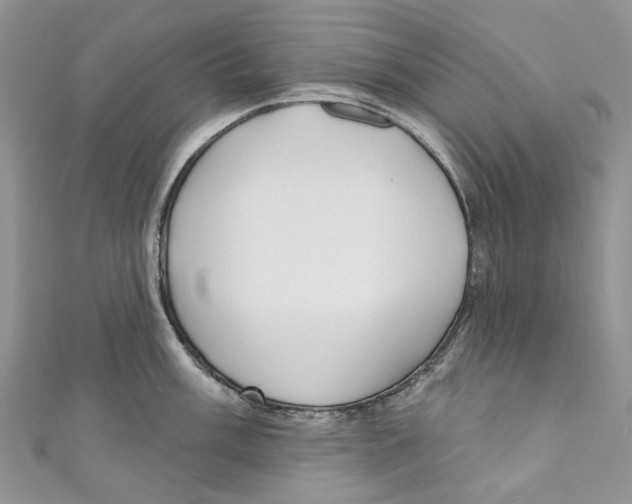 X0000110981003200907171728