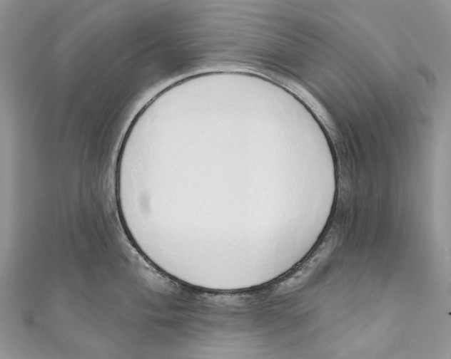 X0000110981004200907171728