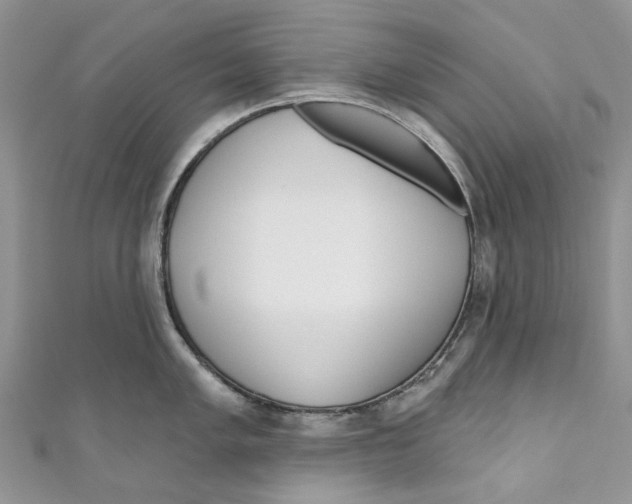 X0000110981005200907171728
