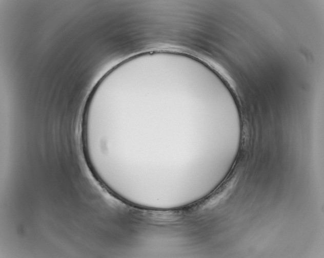 X0000110981007200907171728