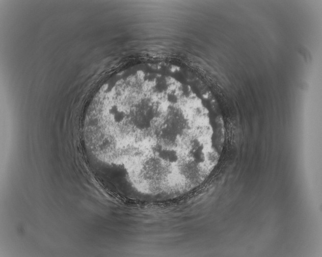 X0000110981009200907171727