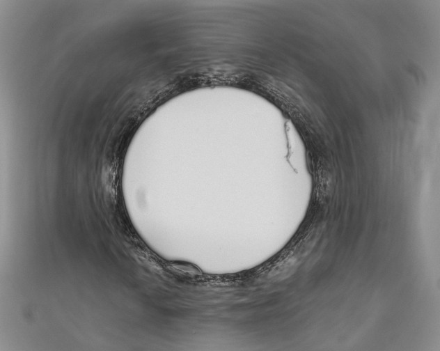 X0000110981010200907171727
