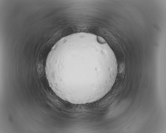 X0000110981011200907171727