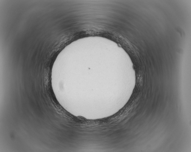 X0000110981012200907171727