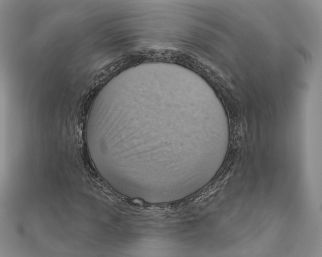 X0000110981013200907171727