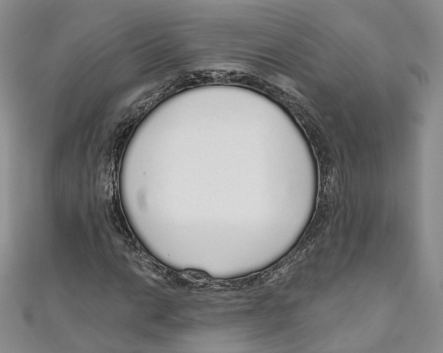X0000110981014200907171727