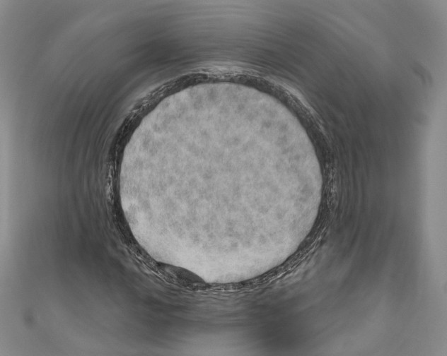 X0000110981016200907171727
