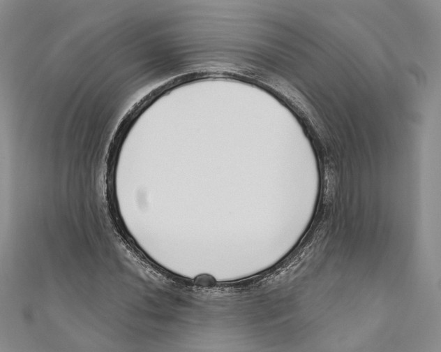 X0000110981020200907171727