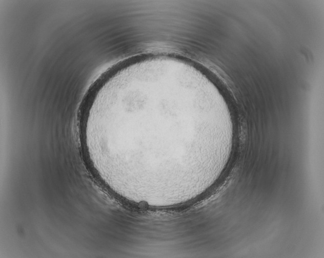 X0000110981022200907171727