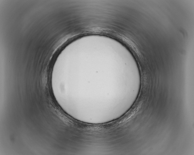 X0000110981023200907171727