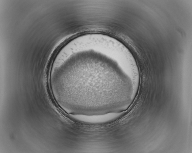 X0000110981024200907171727