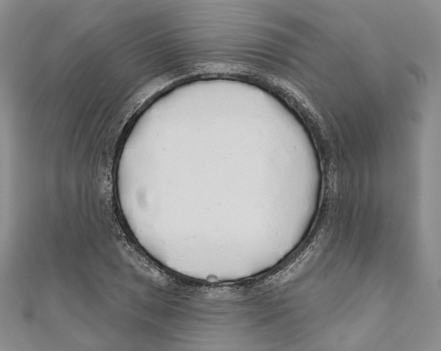 X0000110981025200907171727
