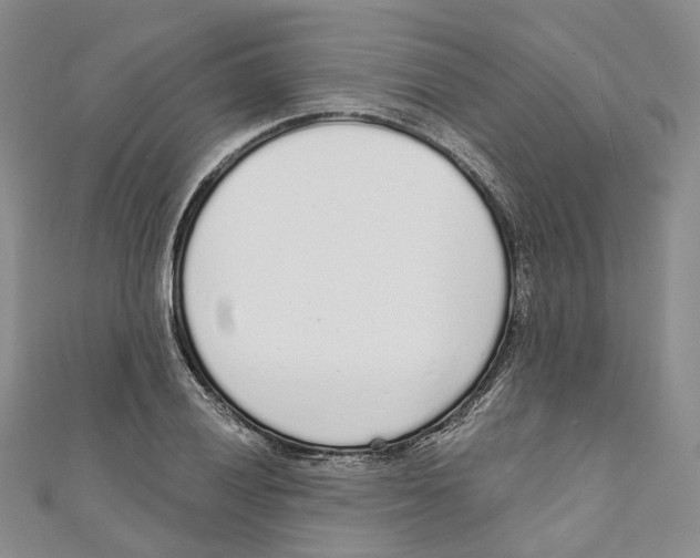 X0000110981028200907171727