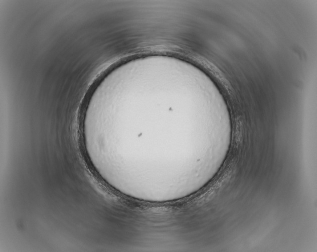 X0000110981031200907171727