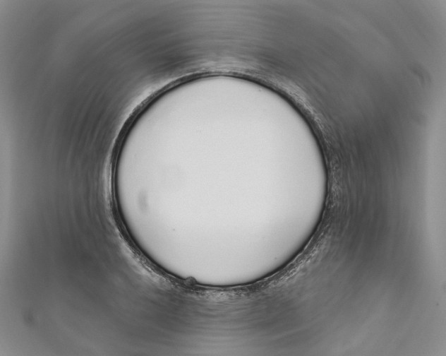 X0000110981032200907171727