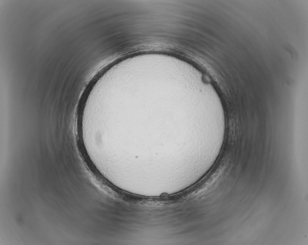 X0000110981034200907171727