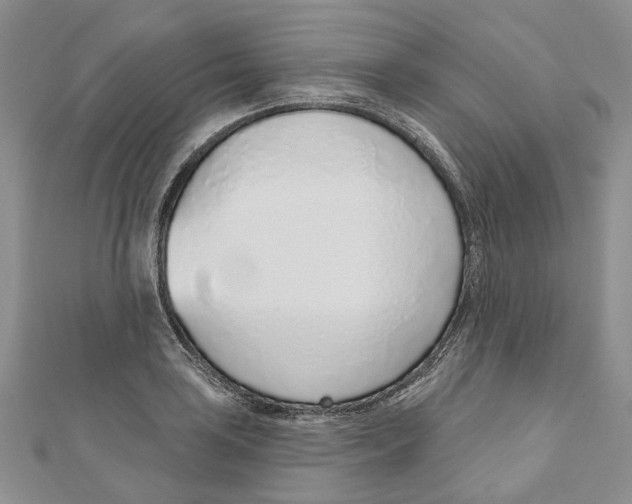 X0000110981035200907171727