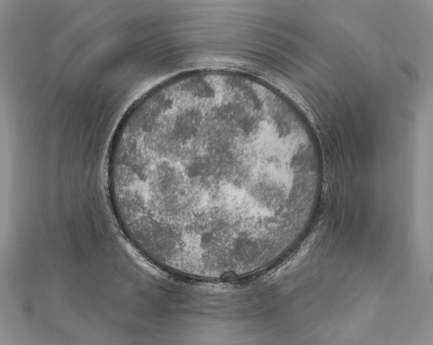 X0000110981037200907171727