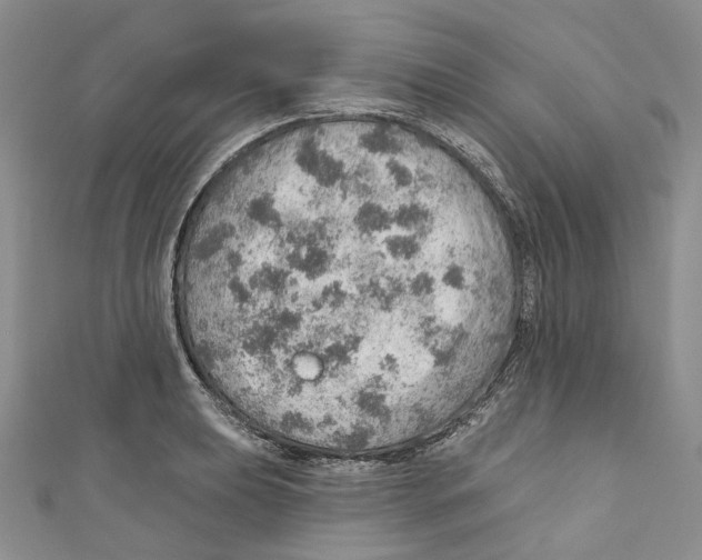 X0000110981039200907171727