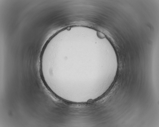X0000110981040200907171727