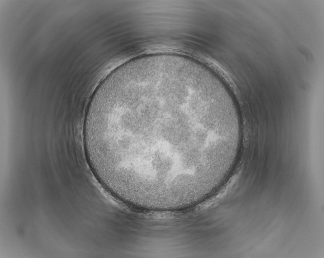 X0000110981041200907171727