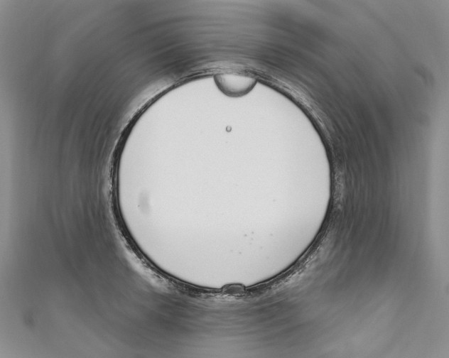 X0000110981042200907171727