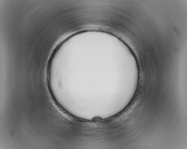 X0000110981045200907171727