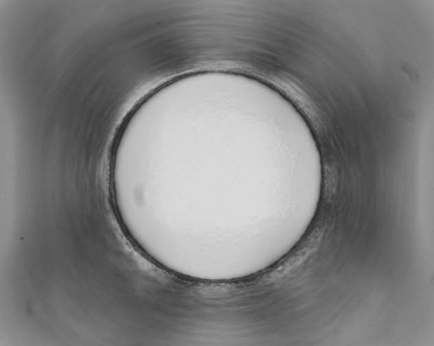 X0000110981046200907171727