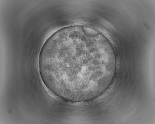 X0000110981047200907171727