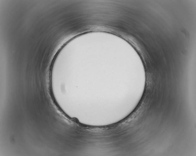 X0000110981048200907171727