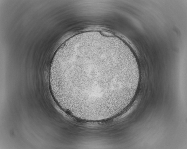 X0000110981049200907171727
