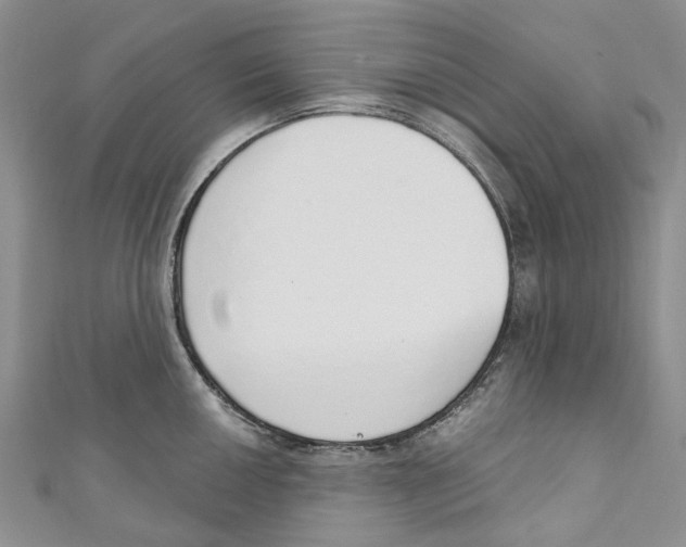 X0000110981050200907171727