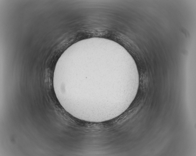 X0000110981058200907171727