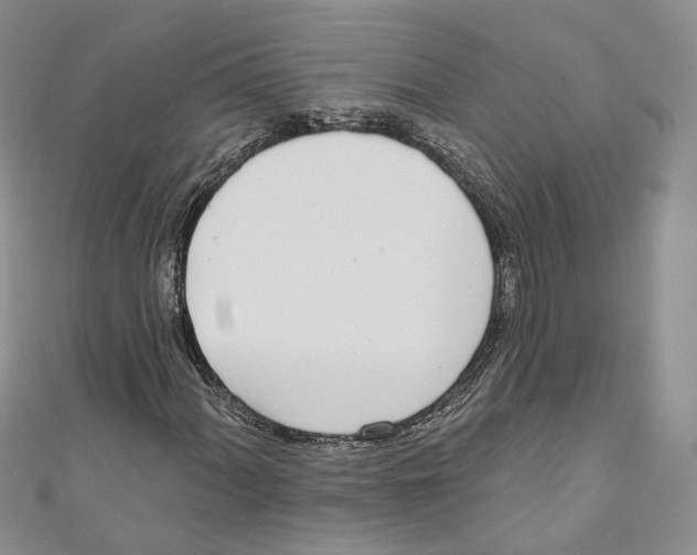 X0000110981060200907171727