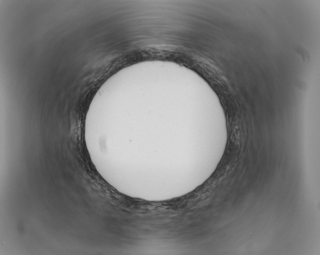 X0000110981061200907171727