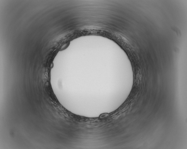 X0000110981062200907171727