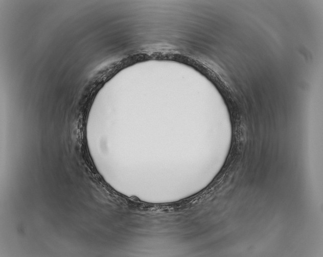 X0000110981063200907171727