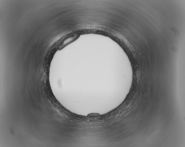 X0000110981064200907171727