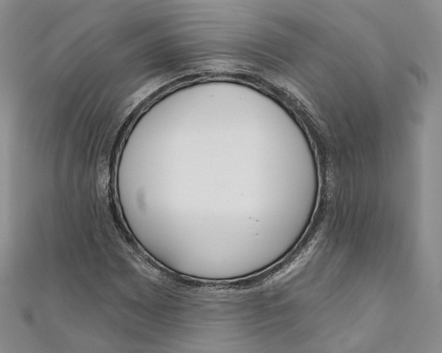 X0000110981065200907171727