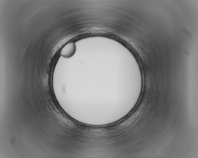 X0000110981066200907171727