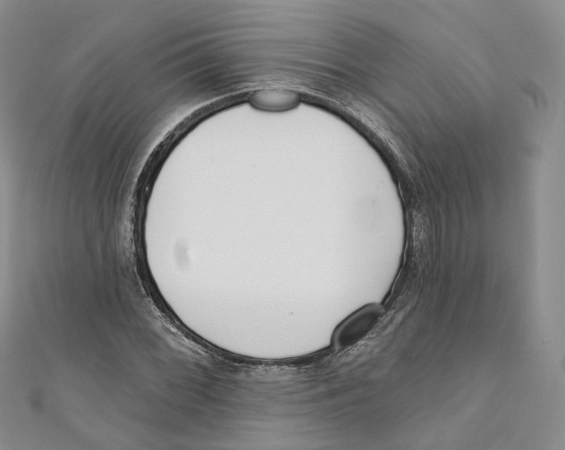 X0000110981068200907171727
