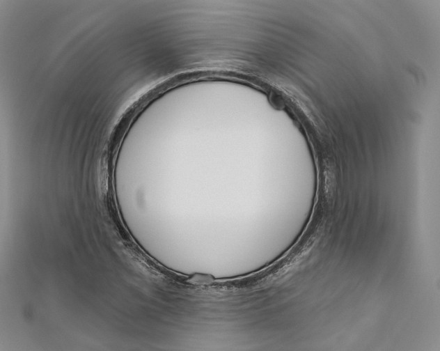 X0000110981069200907171727