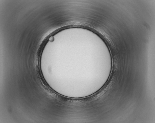 X0000110981070200907171727