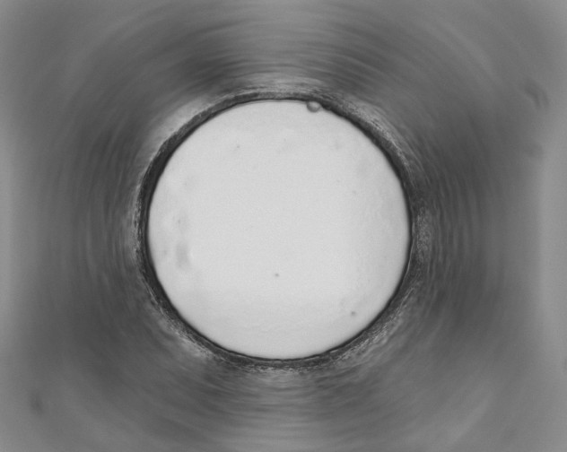 X0000110981071200907171727