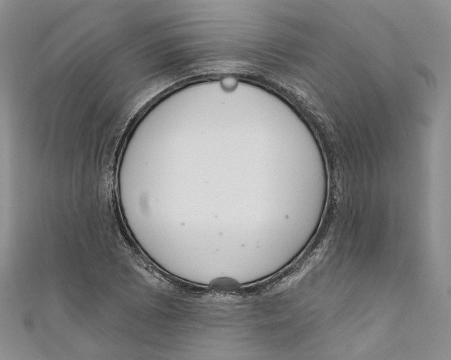 X0000110981073200907171727