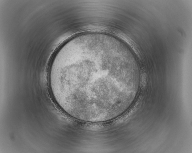 X0000110981074200907171727
